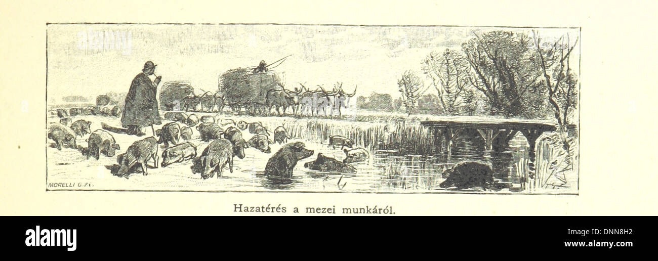 Image prise à partir de la page 253 de "az osztrák magyar-irásban képben monarchie és. trónörökös főherczeg rudolf il ... fensége kezdeményezéséből közremunkálásával és. (Die Deutsche Ausgabe von redigirt ... j. weilen, Die ungarische m jókai.). Banque D'Images