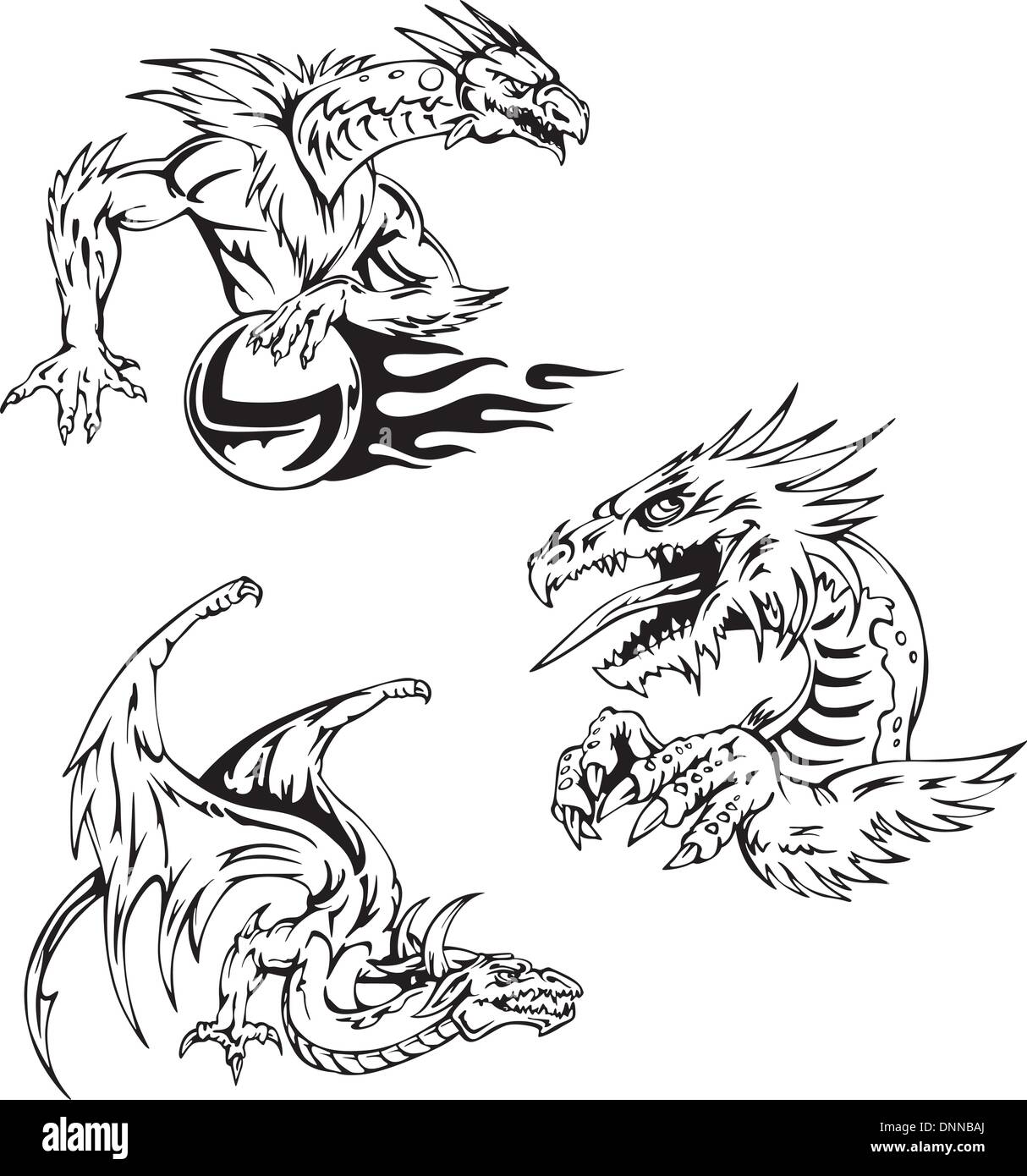 Motifs de tatouage de dragon. Série d'illustrations vectorielles. Illustration de Vecteur