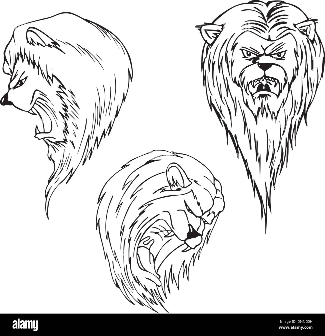 Têtes de lion agressif. Ensemble de vecteur noir et blanc motifs de tatouage. Illustration de Vecteur
