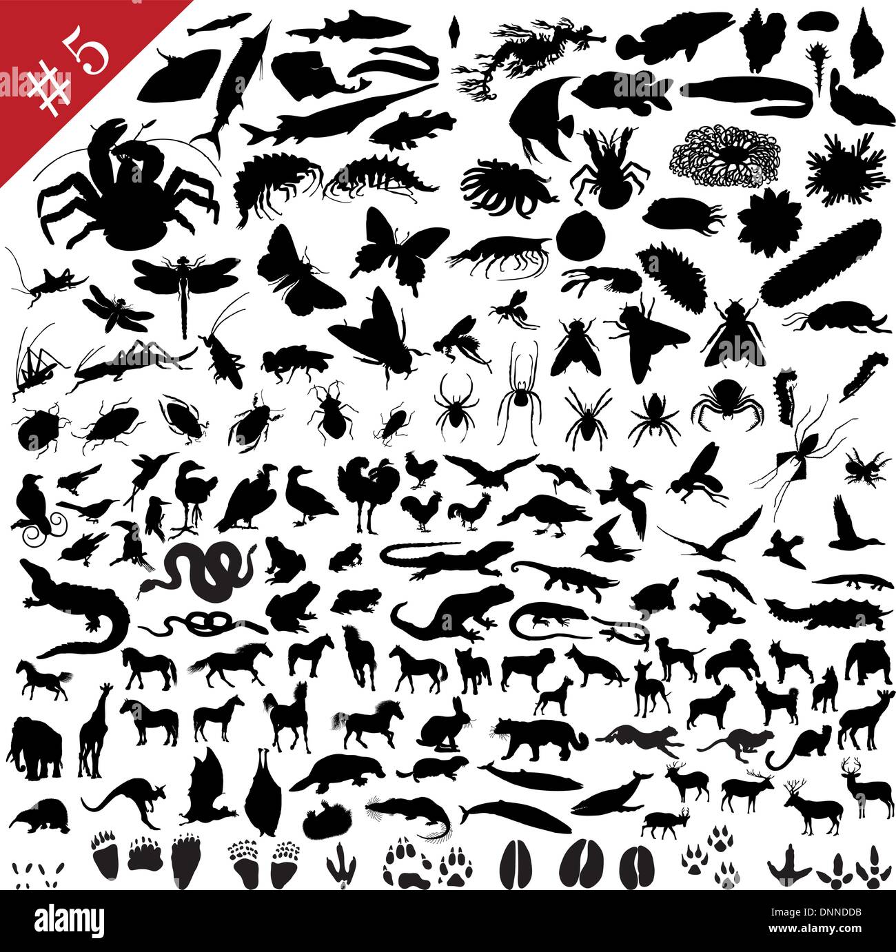 N° 5 série de différents animaux, oiseaux, insectes et poissons vector silhouettes Illustration de Vecteur