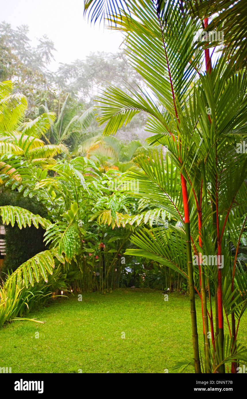 Motif du Rancho Pacifico ; Liberia, Costa Rica Banque D'Images