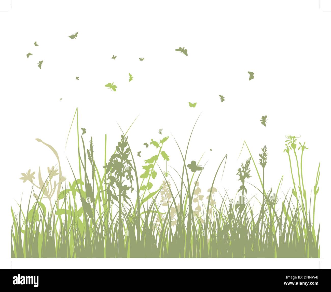 Summer meadow background. Illustration vecteur EPS 10 avec transparence et de mailles. Illustration de Vecteur