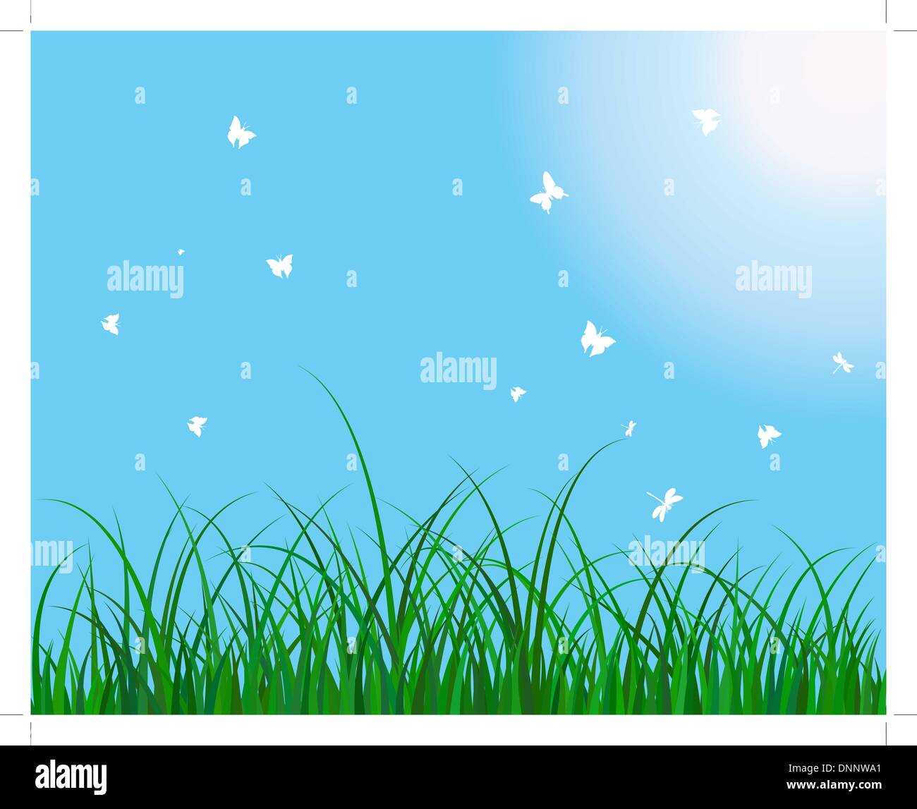 Summer meadow background. Illustration vecteur EPS 10 sans transparence. Illustration de Vecteur