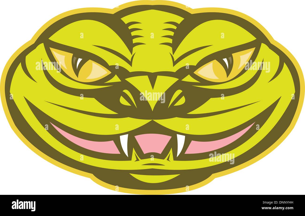 Tête de vipère Banque d'images vectorielles - Alamy