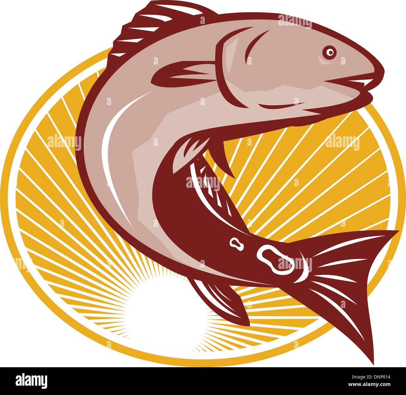 Illustration d'un tambour rouge queue de poisson spot basse fait en style retro set à l'intérieur du cercle. Illustration de Vecteur