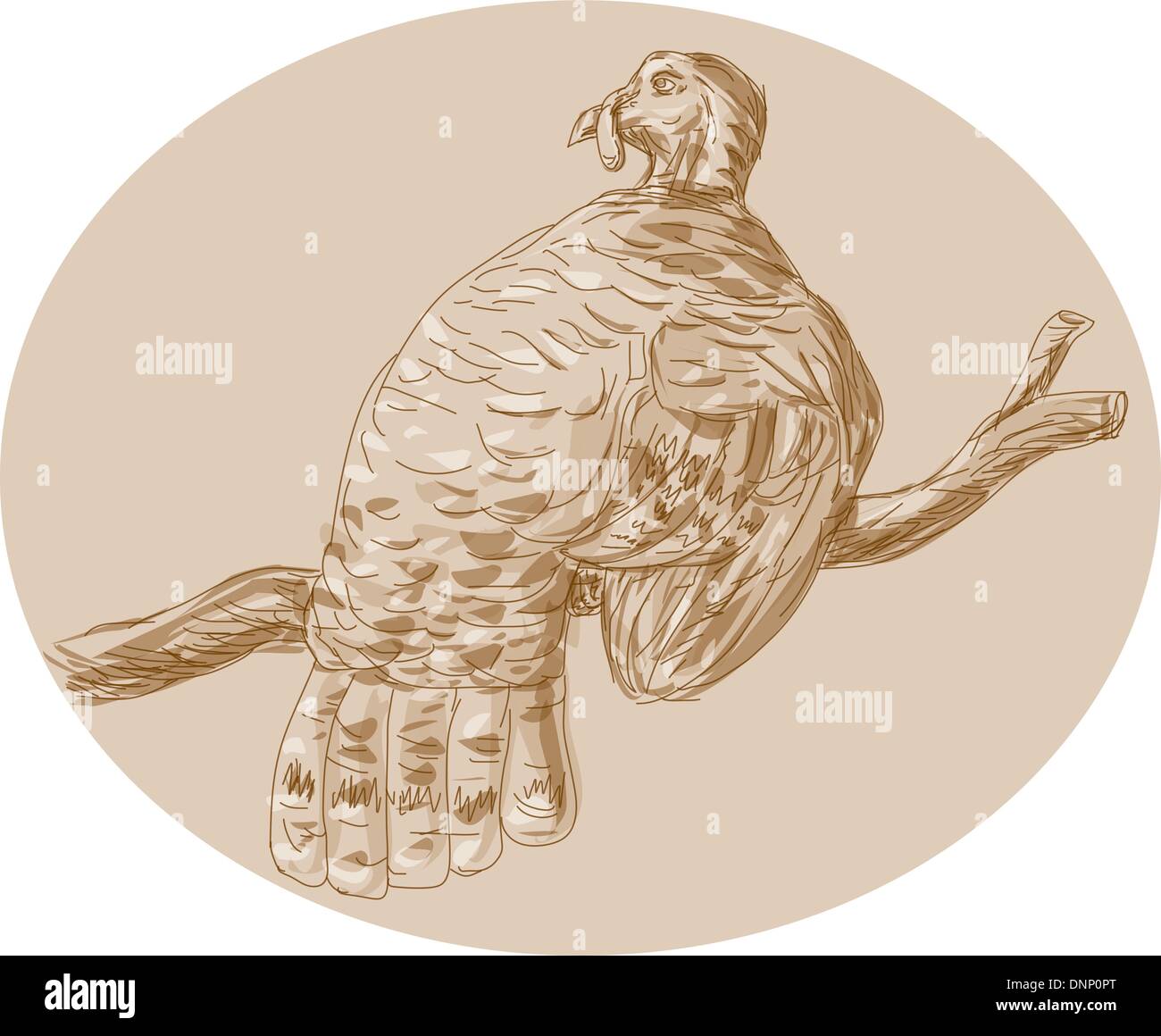 Croquis dessinés à la main, illustration d'un dindon sauvage perching on branch vu de l'arrière. Illustration de Vecteur