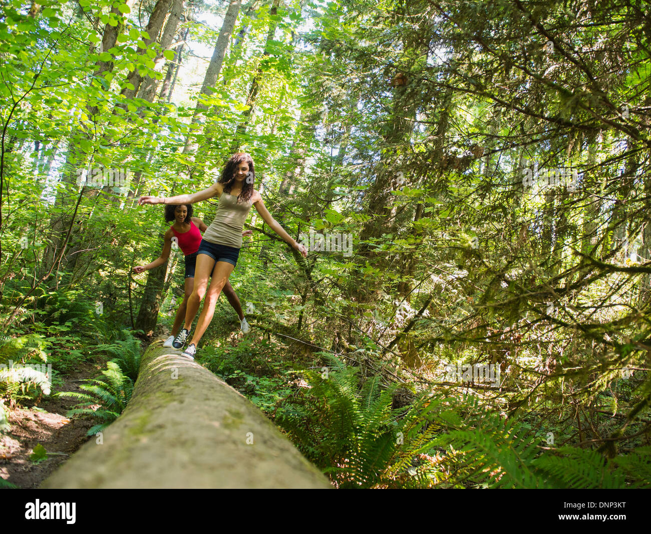 USA (Oregon, Portland, deux jeunes femmes marchant sur log in forest Banque D'Images