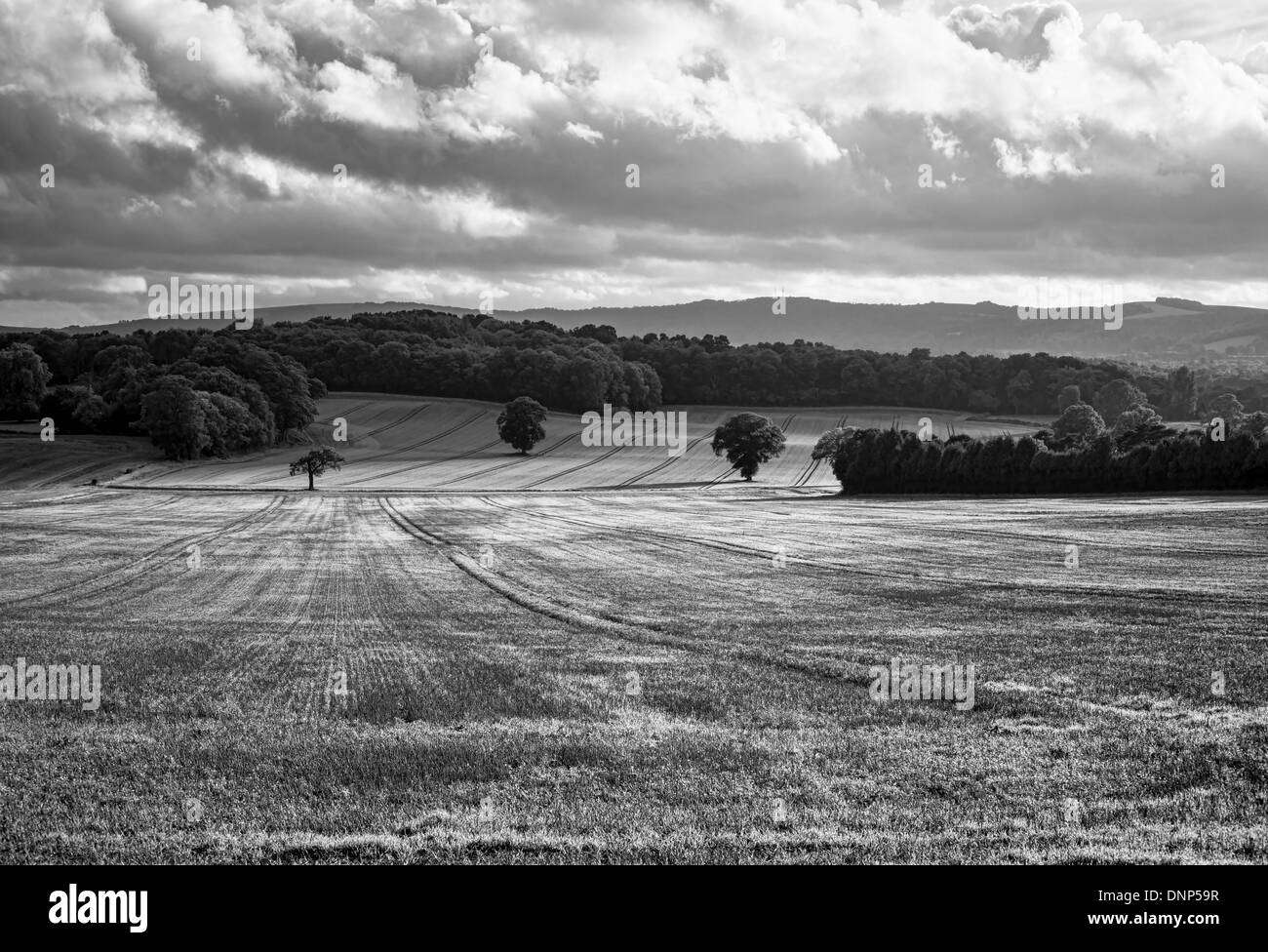 Paysage noir et blanc à proximité Bedham dans West Sussex, UK Banque D'Images