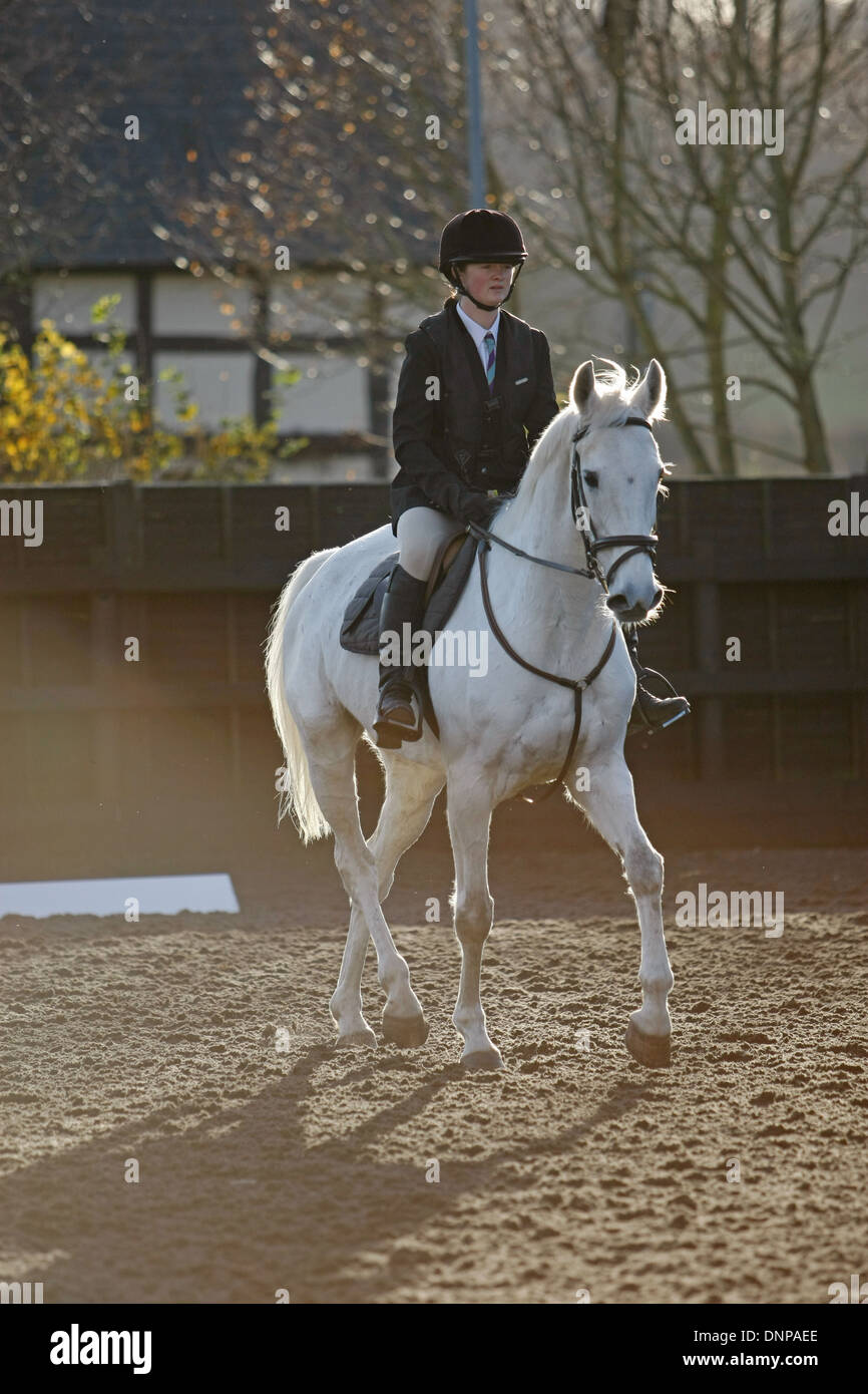 Le cheval et le cavalier à cheval autour d'une arène de prendre part à un concours de dressage Banque D'Images