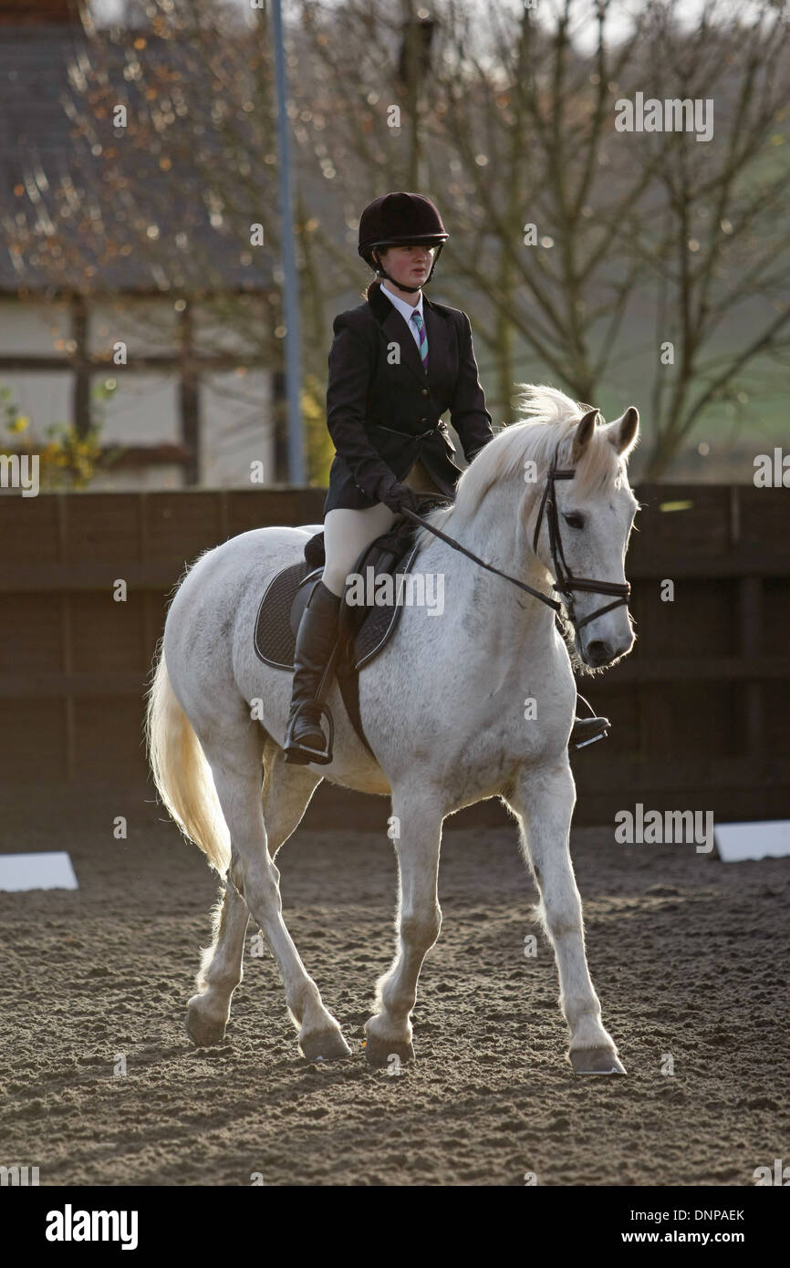 Le cheval et le cavalier à cheval autour d'une arène de prendre part à un concours de dressage Banque D'Images