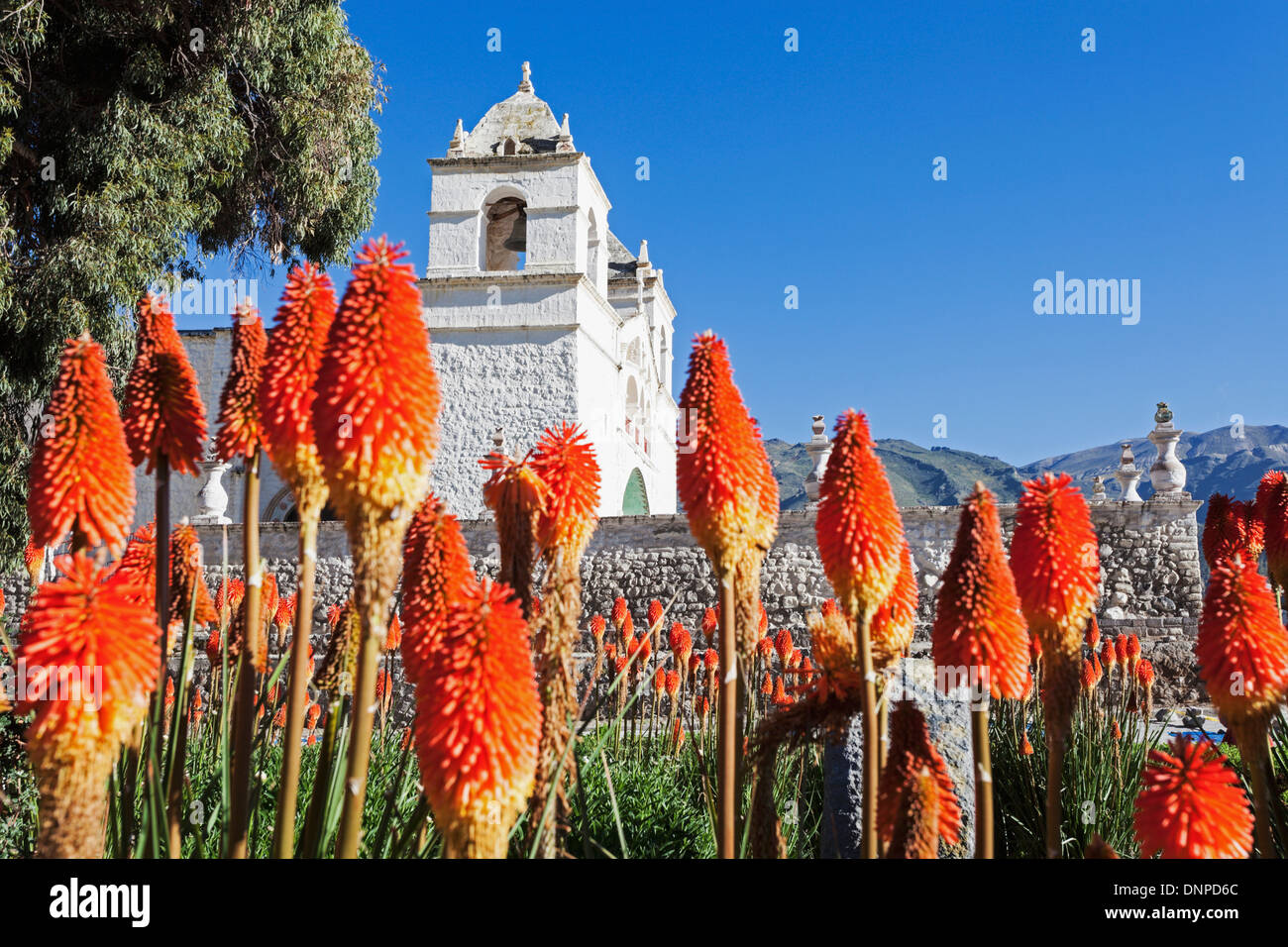 Au Pérou, la maca, l'Église au Canyon du Colca Banque D'Images