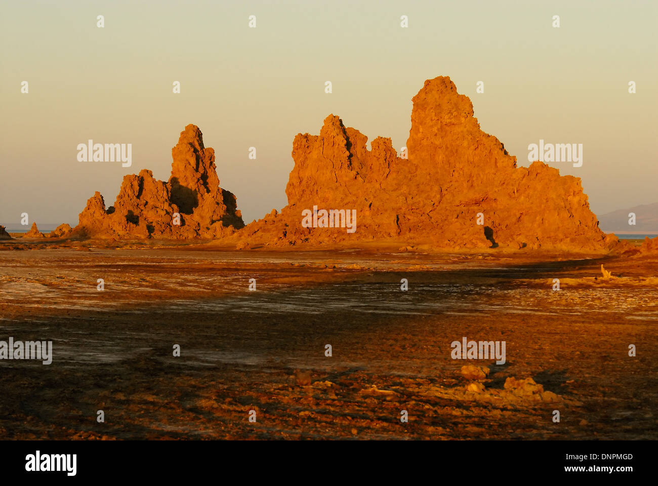 Cheminées de calcaire dans le lac Abbe à Djibouti, corne de l'Afrique Banque D'Images