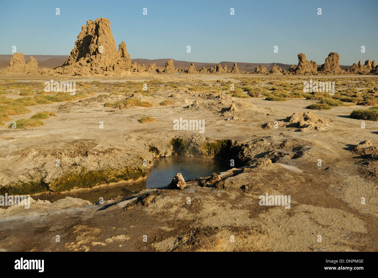 Cheminées en pierre calcaire et flaque d'eau dans le lac Abbe à Djibouti, corne de l'Afrique Banque D'Images