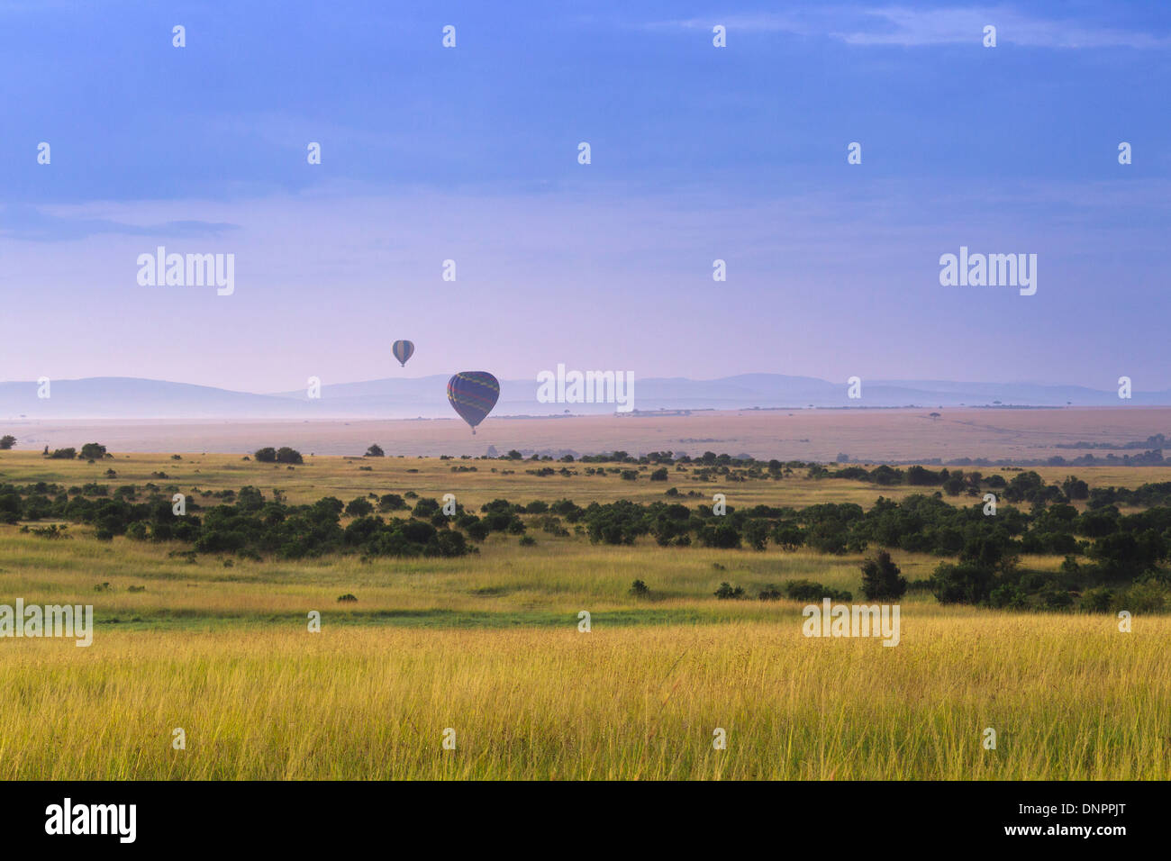 Montgolfières survolant le Masai Mara National Reserve, Kenya Banque D'Images