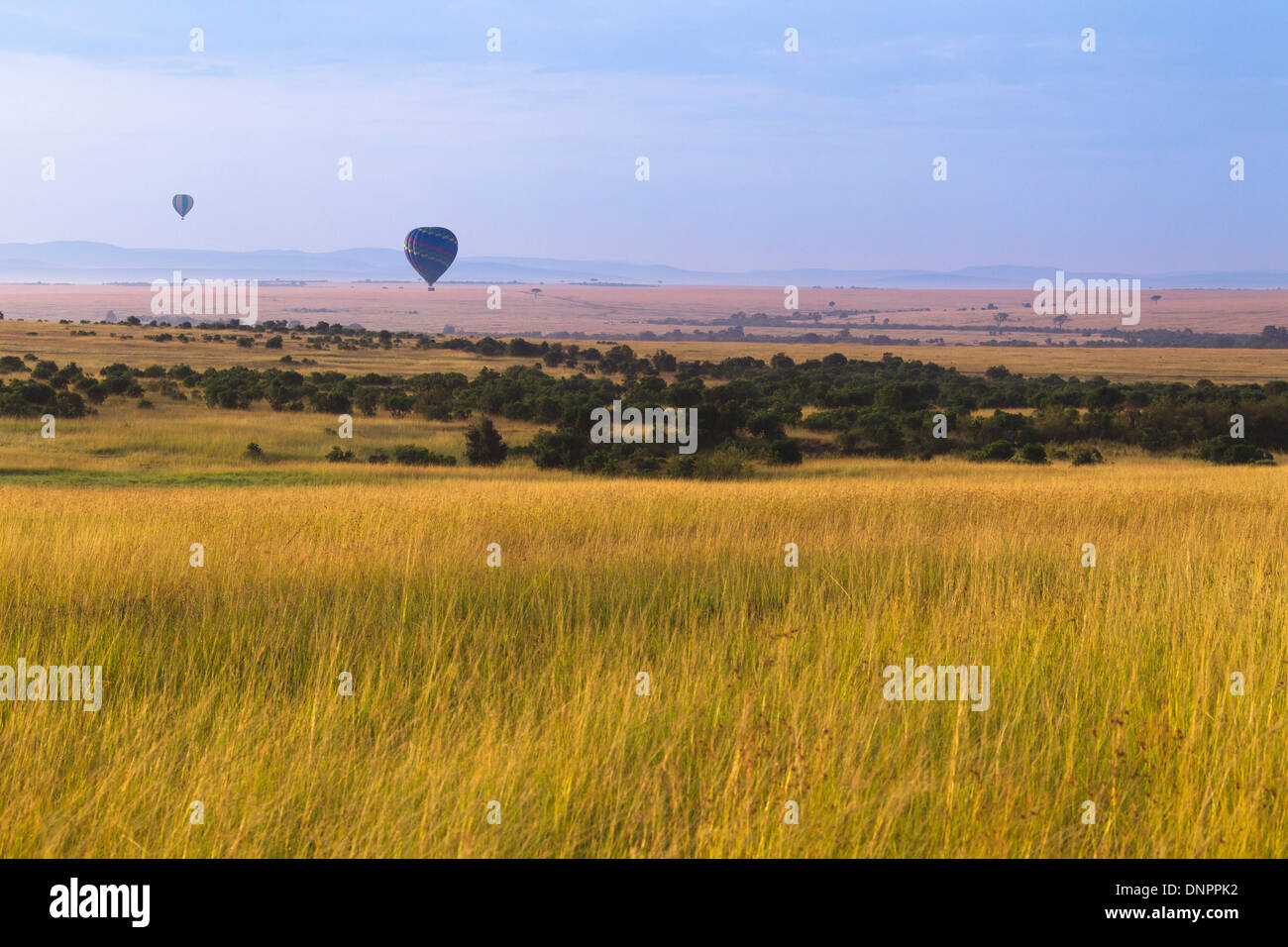 Montgolfières survolant le Masai Mara National Reserve, Kenya Banque D'Images