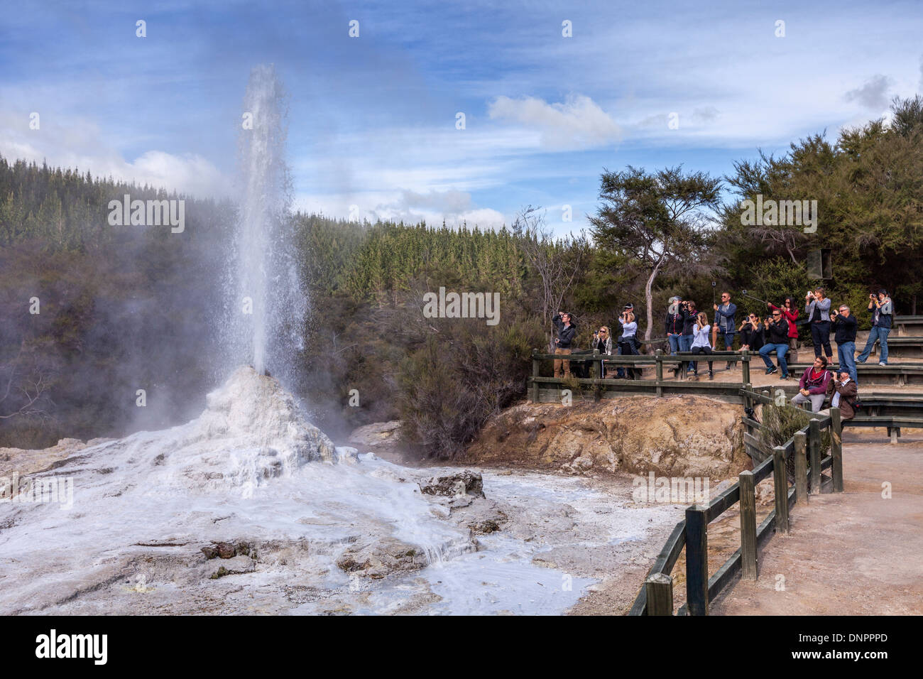 Les visiteurs le Lady Knox Geyser commencent à éclater. Le geyser est à Waiotapu, près de Rotorua, dans la zone volcanique de Taupo. Banque D'Images