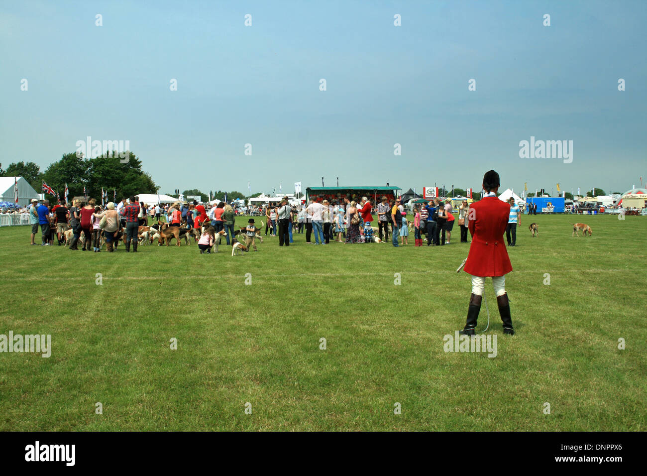 Cheshire Show 2013, défilé de chiens, Tabley, Cheshire Angleterre Banque D'Images