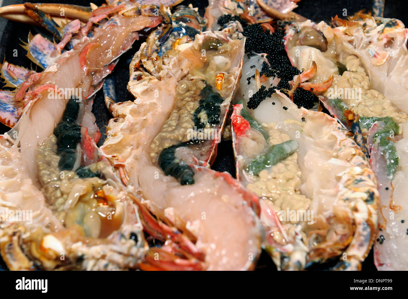 Avec Des œufs De Homard Pret Pour Une Recette Dans Un Restaurant A