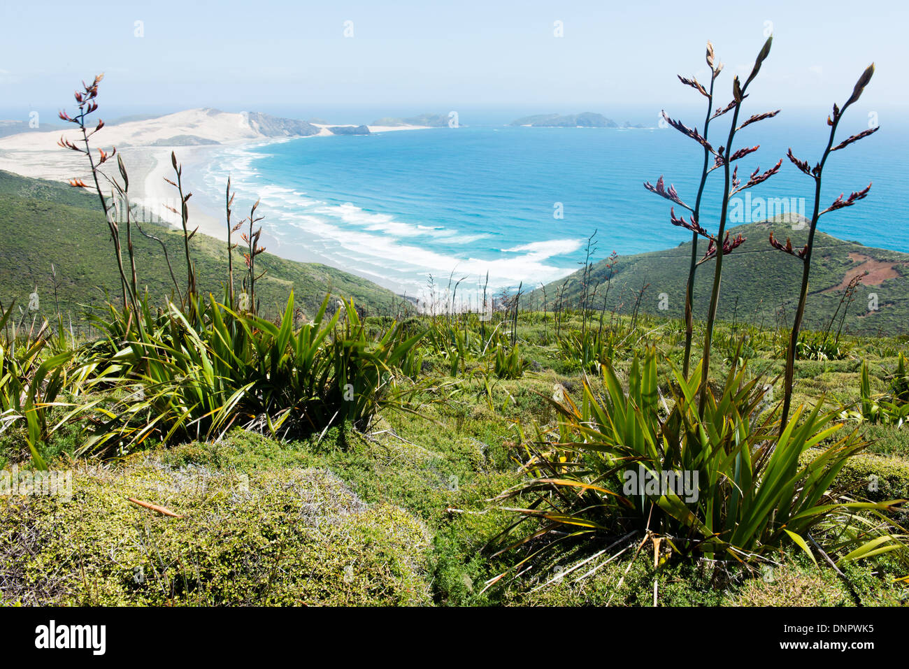 Vue le long Te Werahi Beach et Cape Maria Van Diemen, qui se trouve à 45 minutes de marche de Cape Reinga, Nouvelle-Zélande Banque D'Images