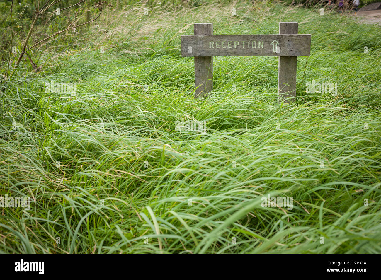 Signe de la réception avec la flèche dans l'herbe, Angleterre Banque D'Images