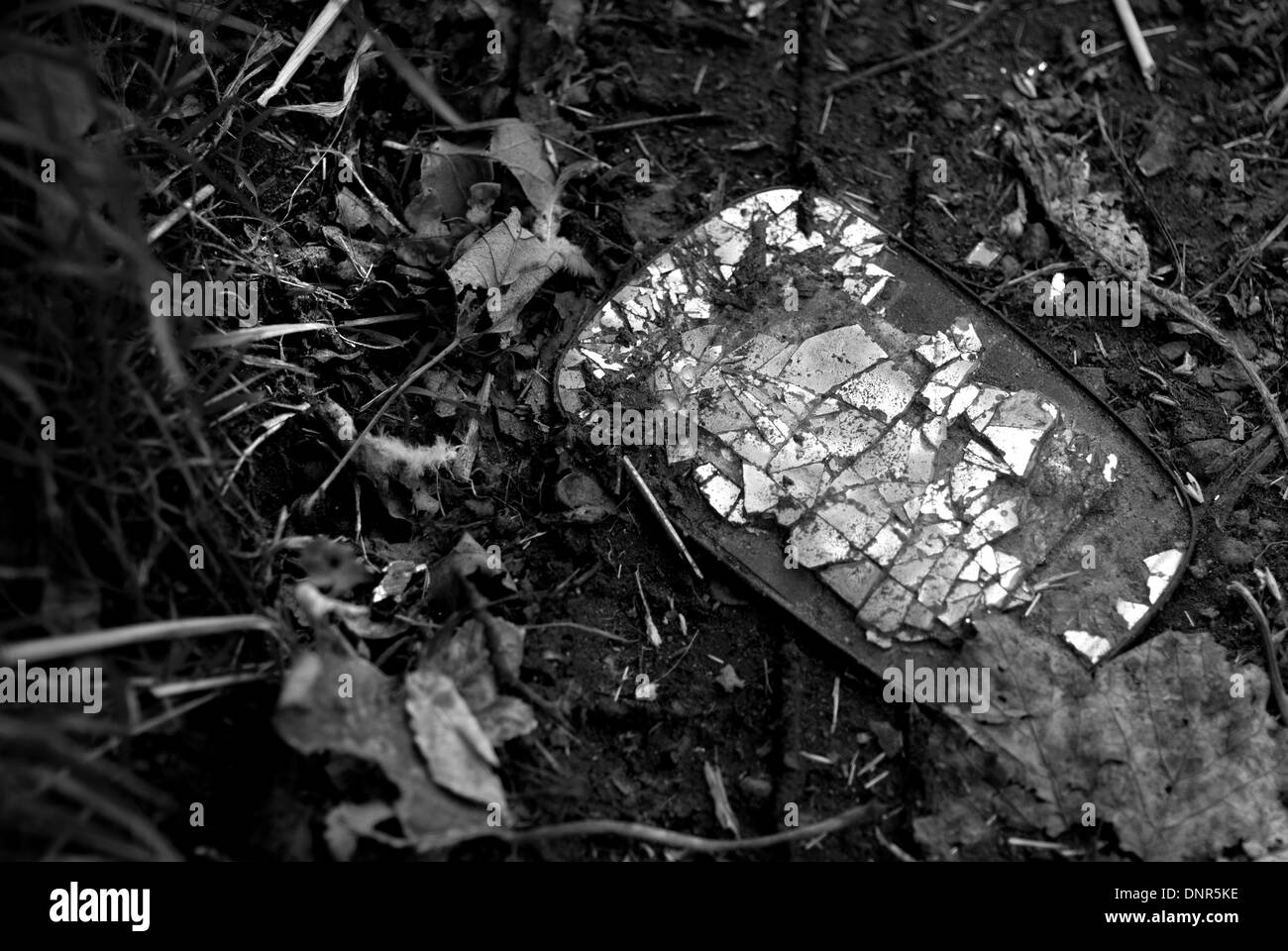 Rétroviseur voiture écrasé dans la boue verge / Broken Wing mirror Banque D'Images