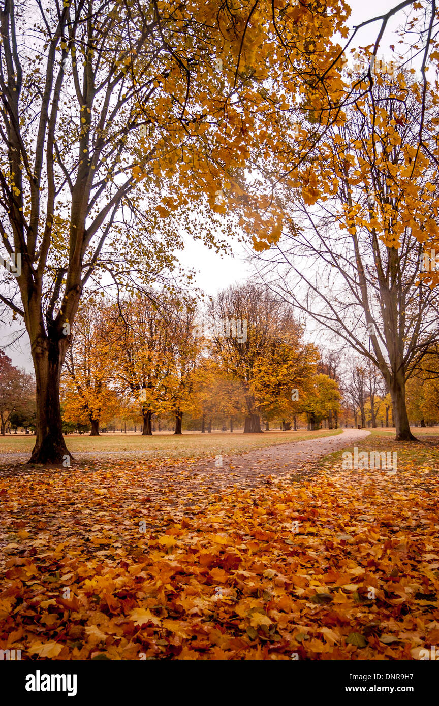 Les arbres d'automne, les jardins de Kensington, Londres. Banque D'Images