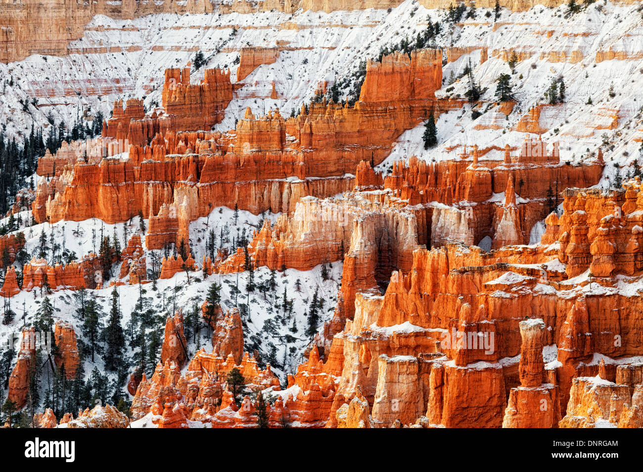 Matin lumière révèle la beauté de l'automne première neige dans l'Utah Bryce Canyon National Park. Banque D'Images