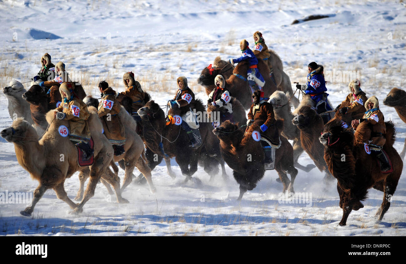 Xi Qi Ujimqin, Mongolie intérieure. 5Th Jan, 2014. Au cours d'une concurrence des courses de chameaux à Xi Qi Ujimqin, Chine du nord, région autonome de Mongolie intérieure, le 5 janvier 2014. Un chameau culture festival a eu lieu le dimanche. Credit : Ren Junchuan/Xinhua/Alamy Live News Banque D'Images