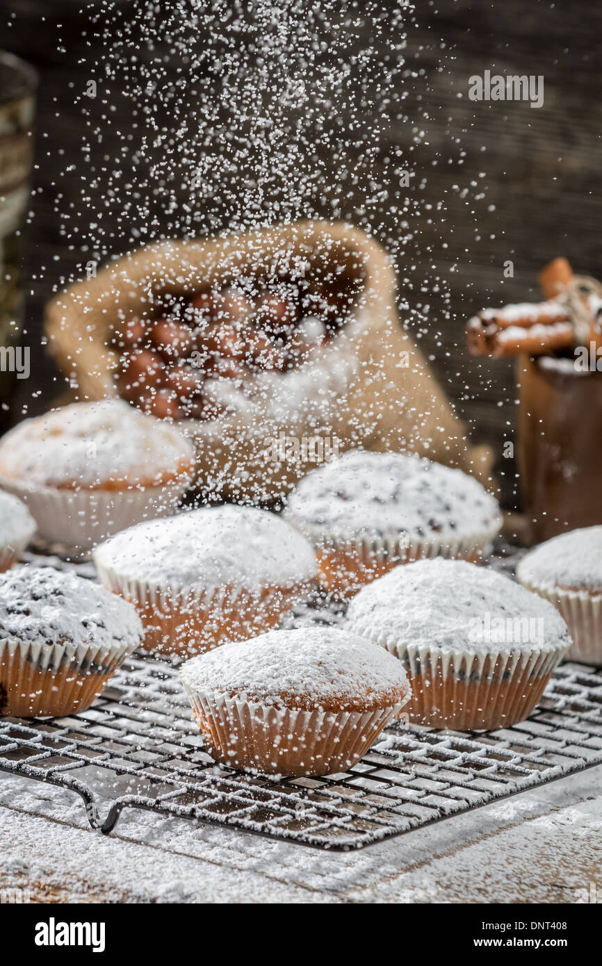 Muffins à la vanille décoré avec du sucre en poudre Banque D'Images