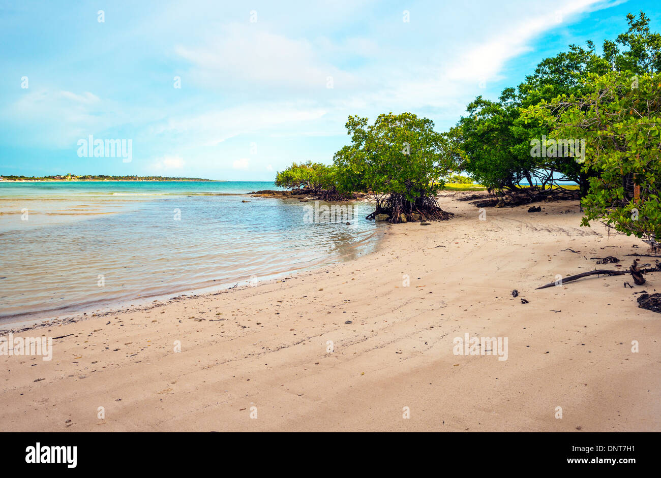 Cuba Cayo Coco Beach Banque D'Images