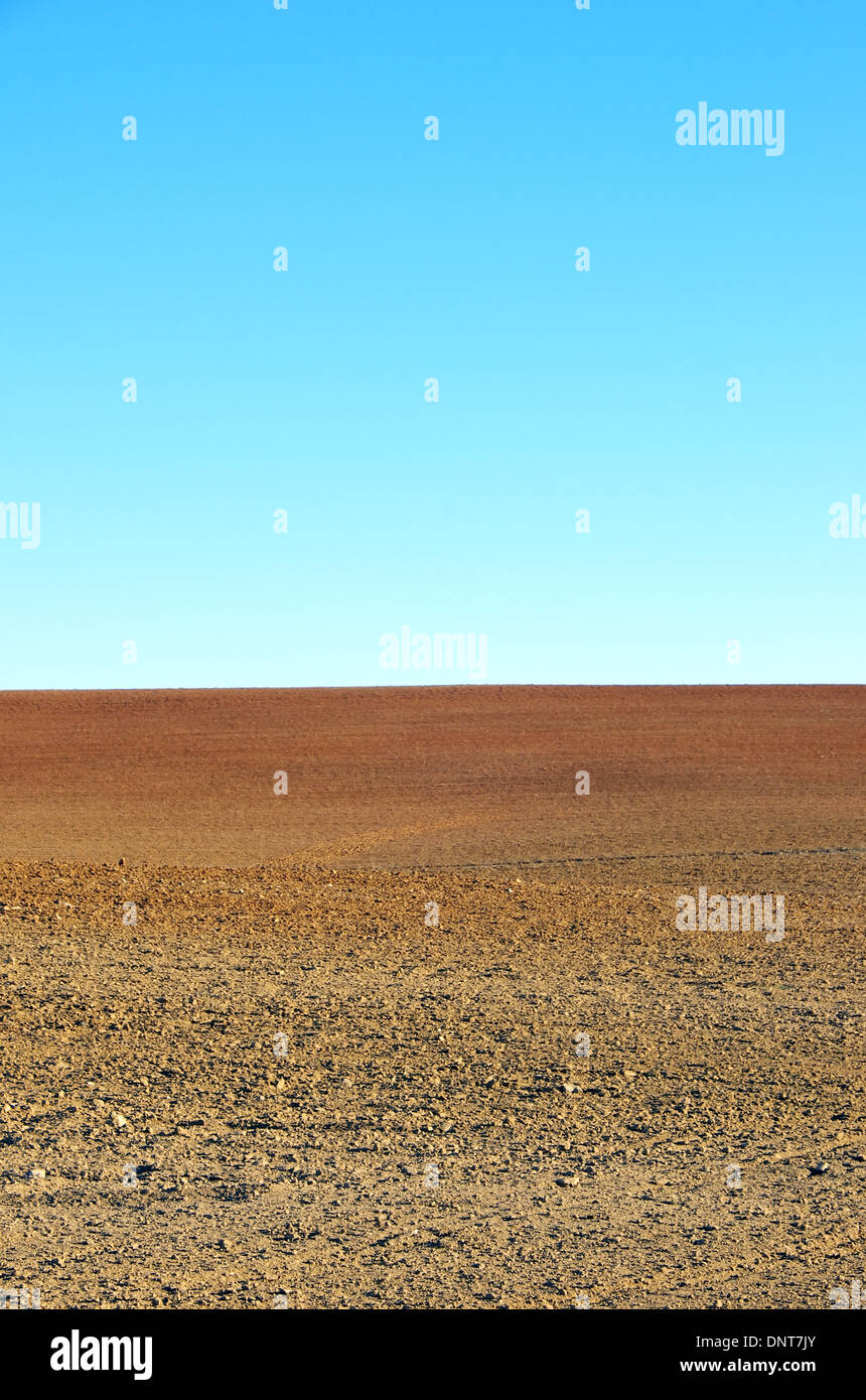 Sol labouré de champ agricole contre le ciel bleu Banque D'Images