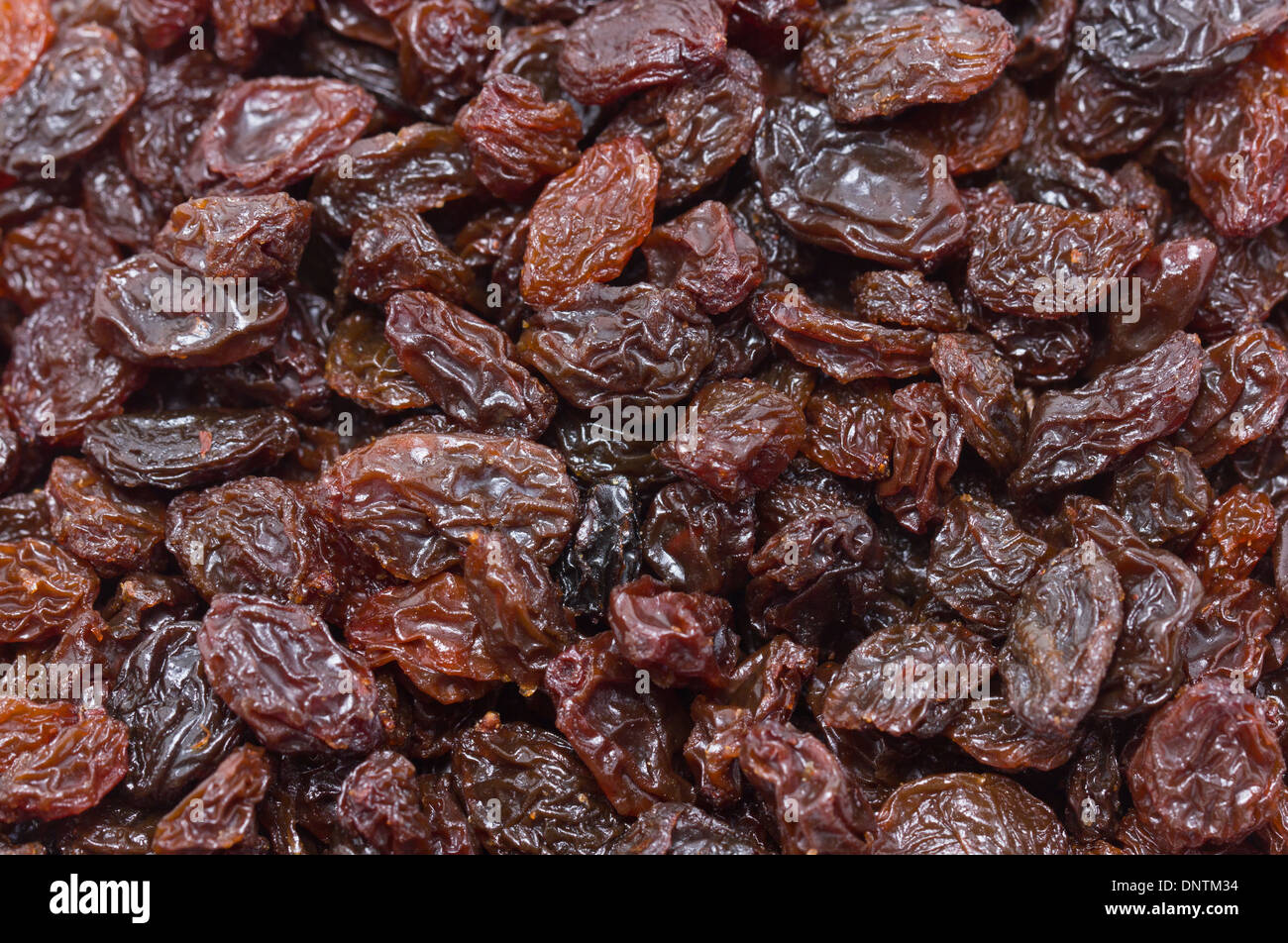 Raisins noirs. Banque D'Images