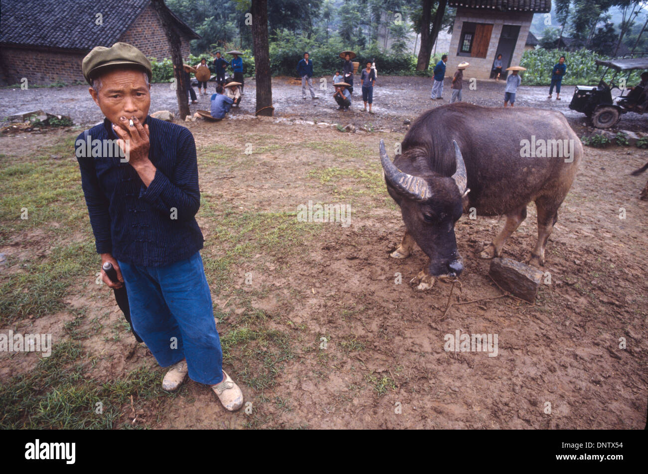 Un agriculteur en attente de l'acheteur pour son boeuf dans la province du Hunan, Chine Banque D'Images