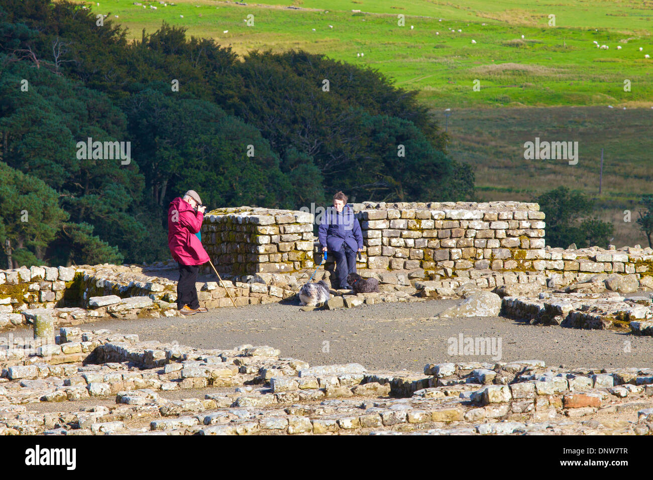 Les touristes à Housteads Roman Fort sur le mur d'Hadrien, Sentier National Northumberland, Angleterre Royaume-Uni Grande-Bretagne Banque D'Images