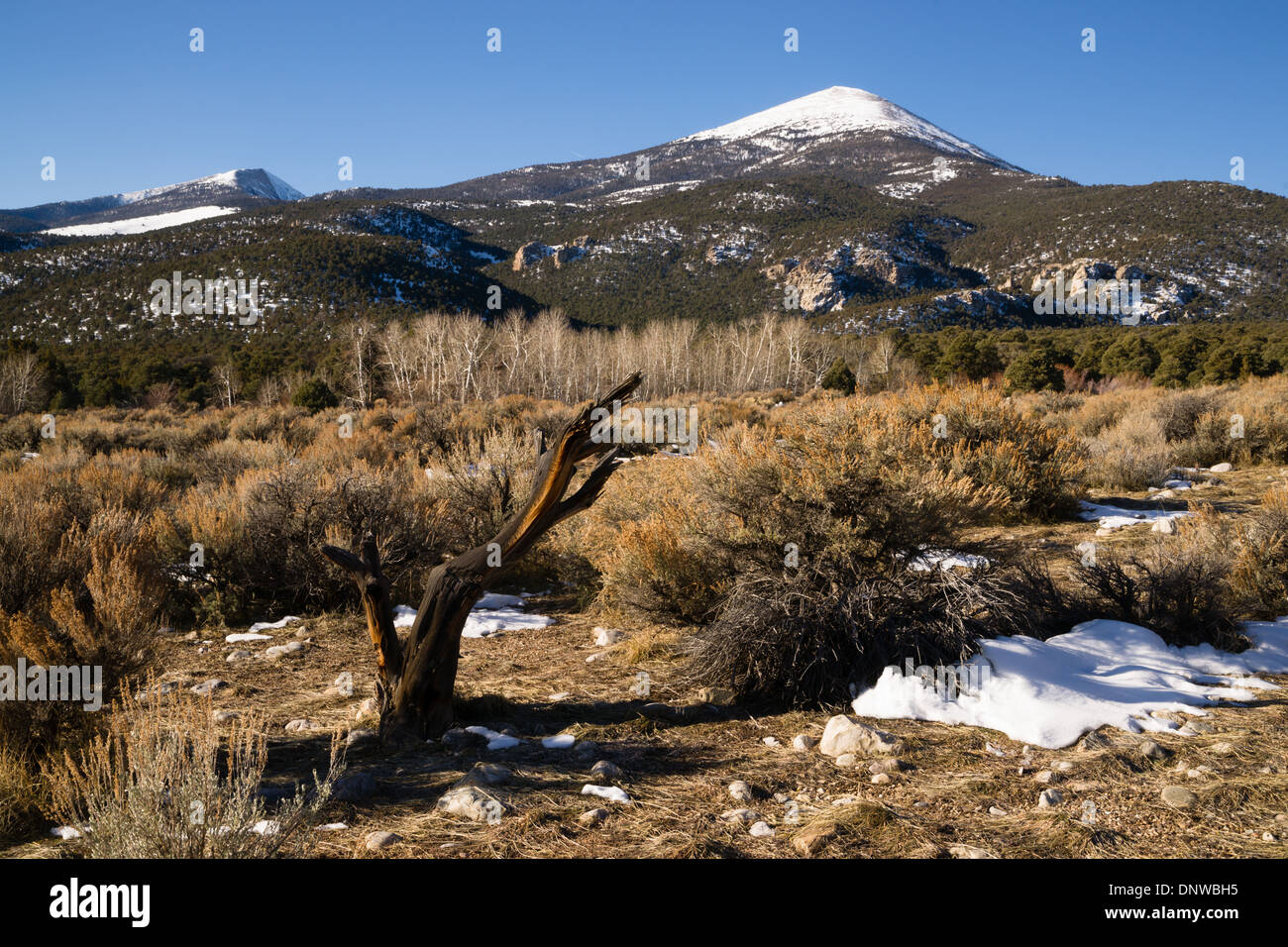 Paysage d'hiver dans le Parc National du Grand Bassin Banque D'Images