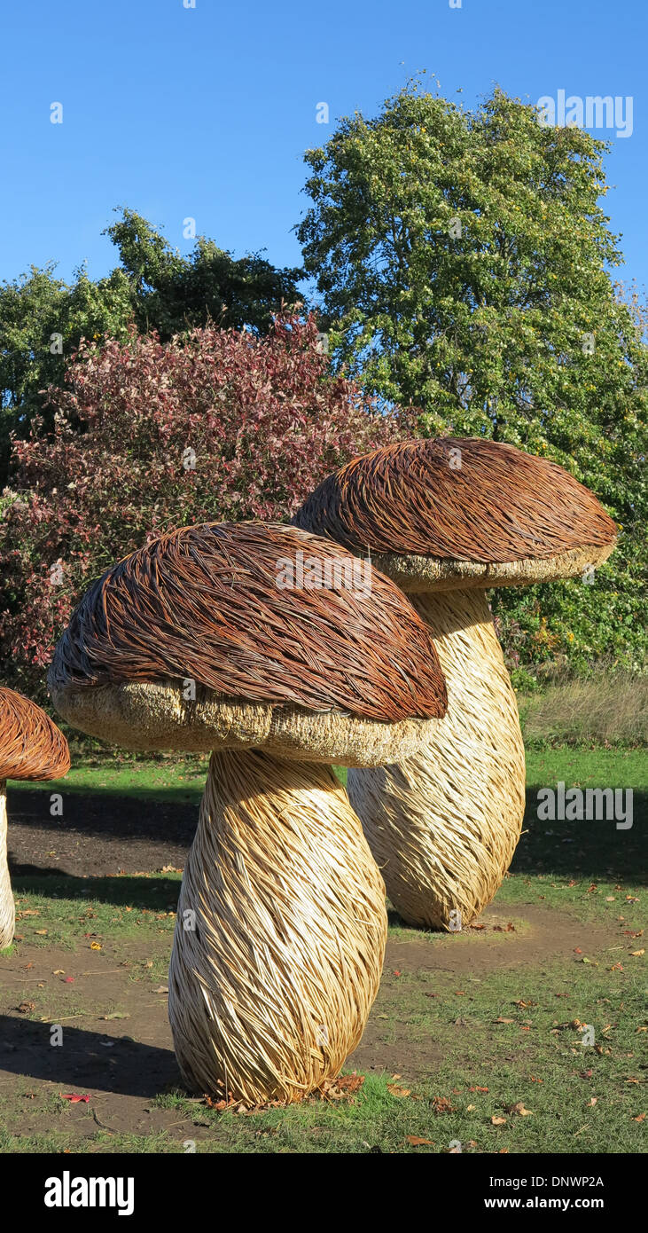 Willow tissé champignons au Royal Botanical Gardens, Kew, Londres, Royaume-Uni dans le cadre d'une exposition en 2013 IncrEdibles Banque D'Images