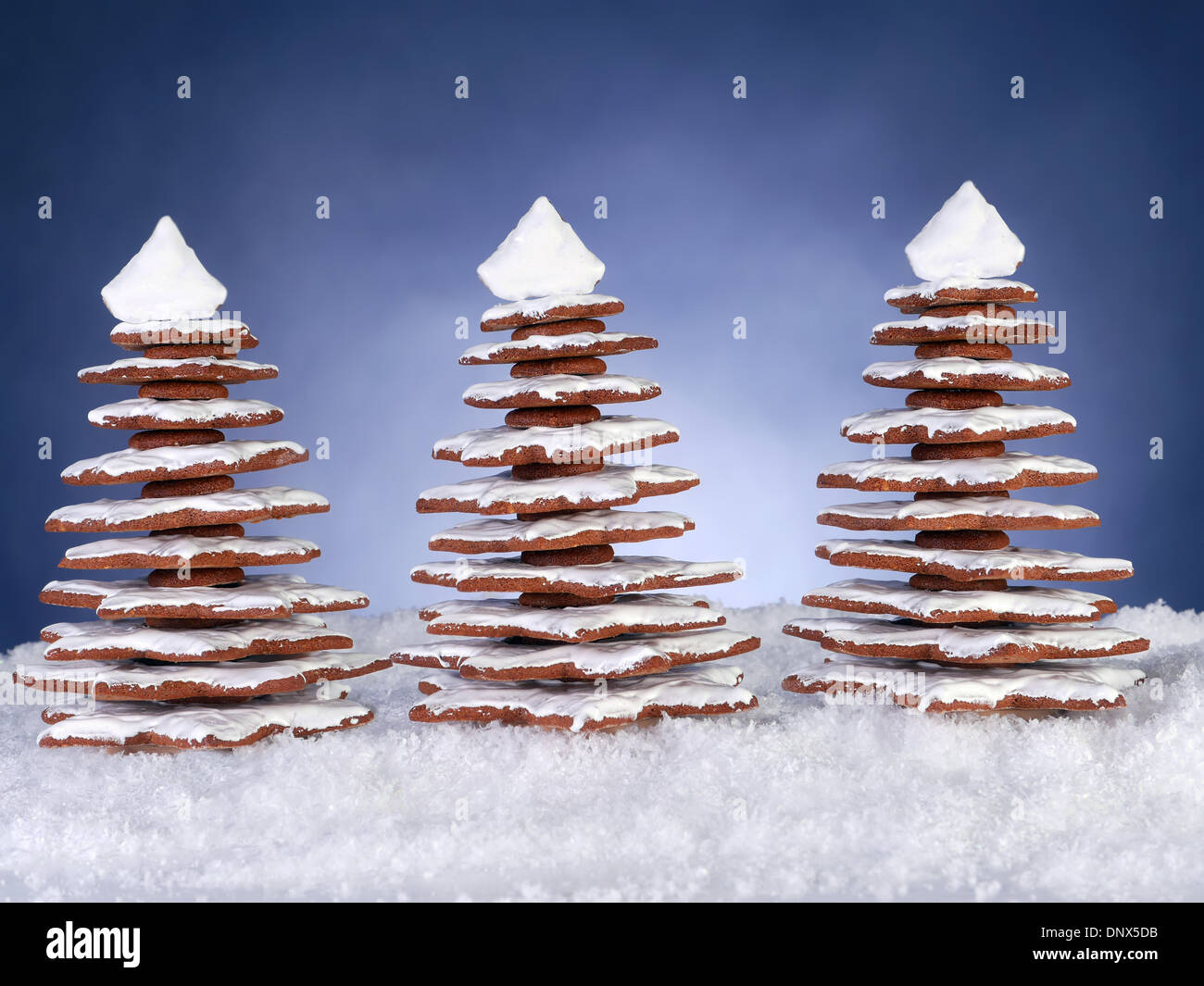 Trois arbres de Noël d'épices sur fond bleu foncé Banque D'Images