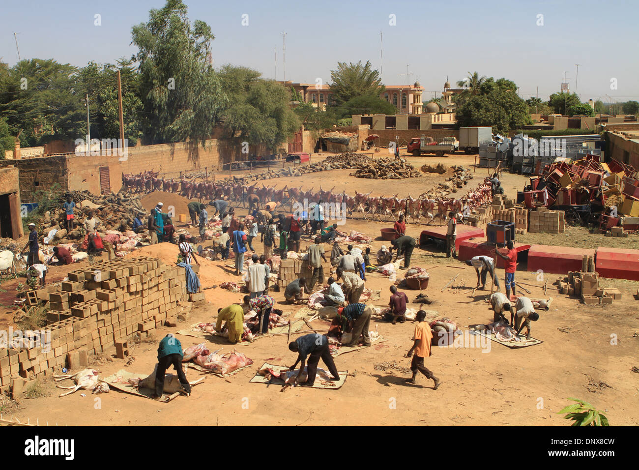 Les hommes de la communauté à Niamey, Niger travailler ensemble à sacrifier les moutons dans le cadre de la célébration de la Tabaski (Aïd al-Adha) Banque D'Images