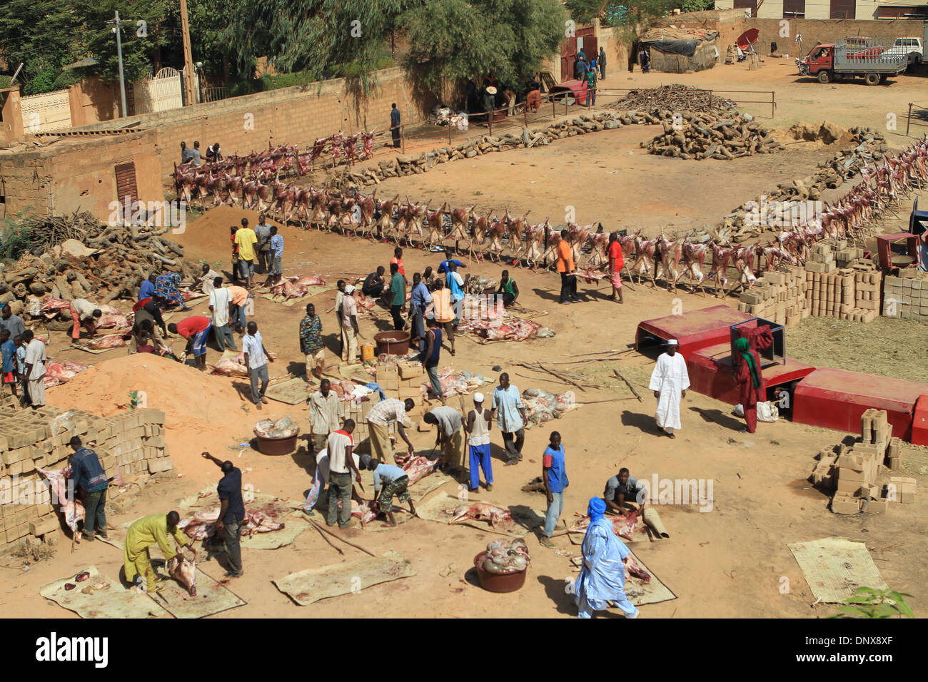 Les hommes de la communauté à Niamey, Niger travailler ensemble à sacrifier les moutons dans le cadre de la célébration de la Tabaski (Aïd al-Adha) Banque D'Images
