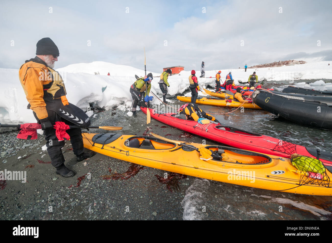 Kayak dans le port de Mikkelsen Trinity Island Antarctica // MIKKELSEN HARBOUR, Antarctique — les kayakistes préparent leur équipement pour un lancement à terre dans le port de Mikkelsen sur l'île Trinity, Antarctique. Cette scène capture l'excitation du tourisme d'aventure dans l'un des environnements les plus reculés et les plus vierges du monde, alors que les visiteurs se préparent à explorer les eaux glacées de la péninsule Antarctique. Banque D'Images