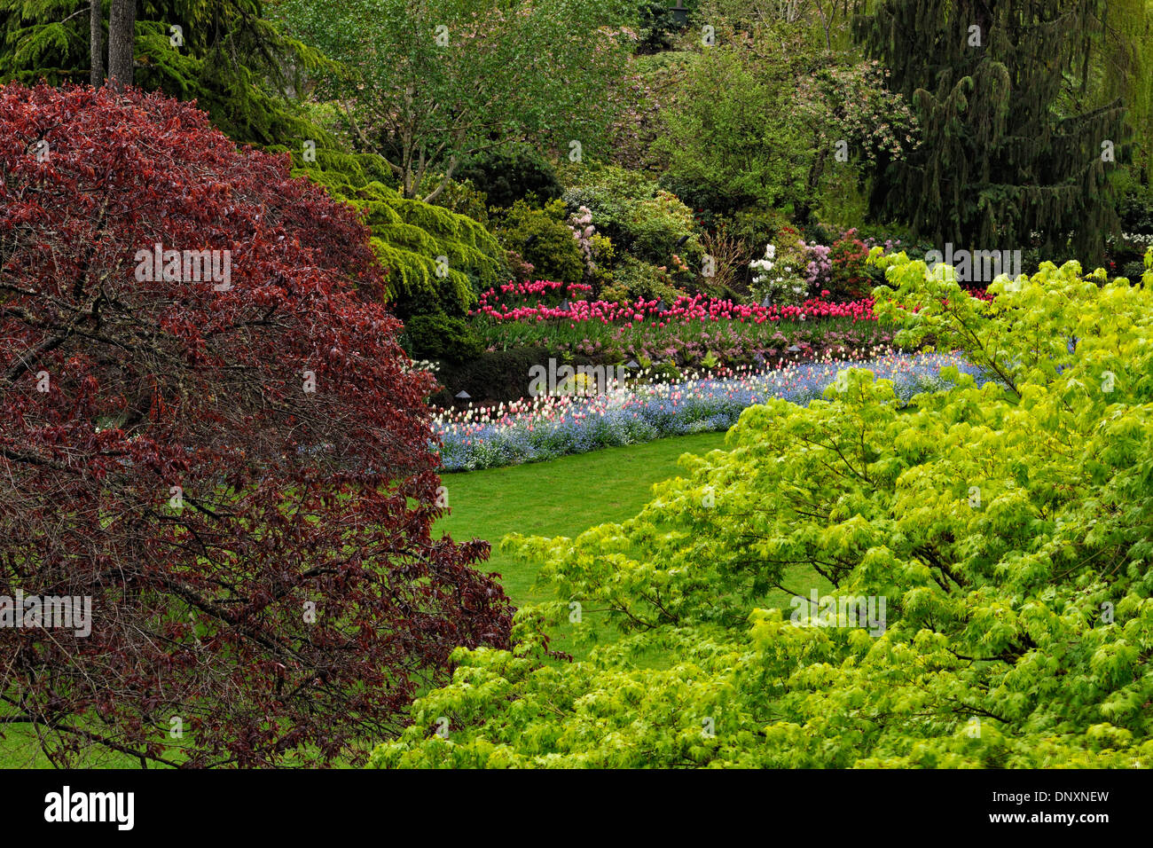 Les Butchart Gardens- fleurissement dans le jardin en contrebas, Victoria, BC, Canada Banque D'Images