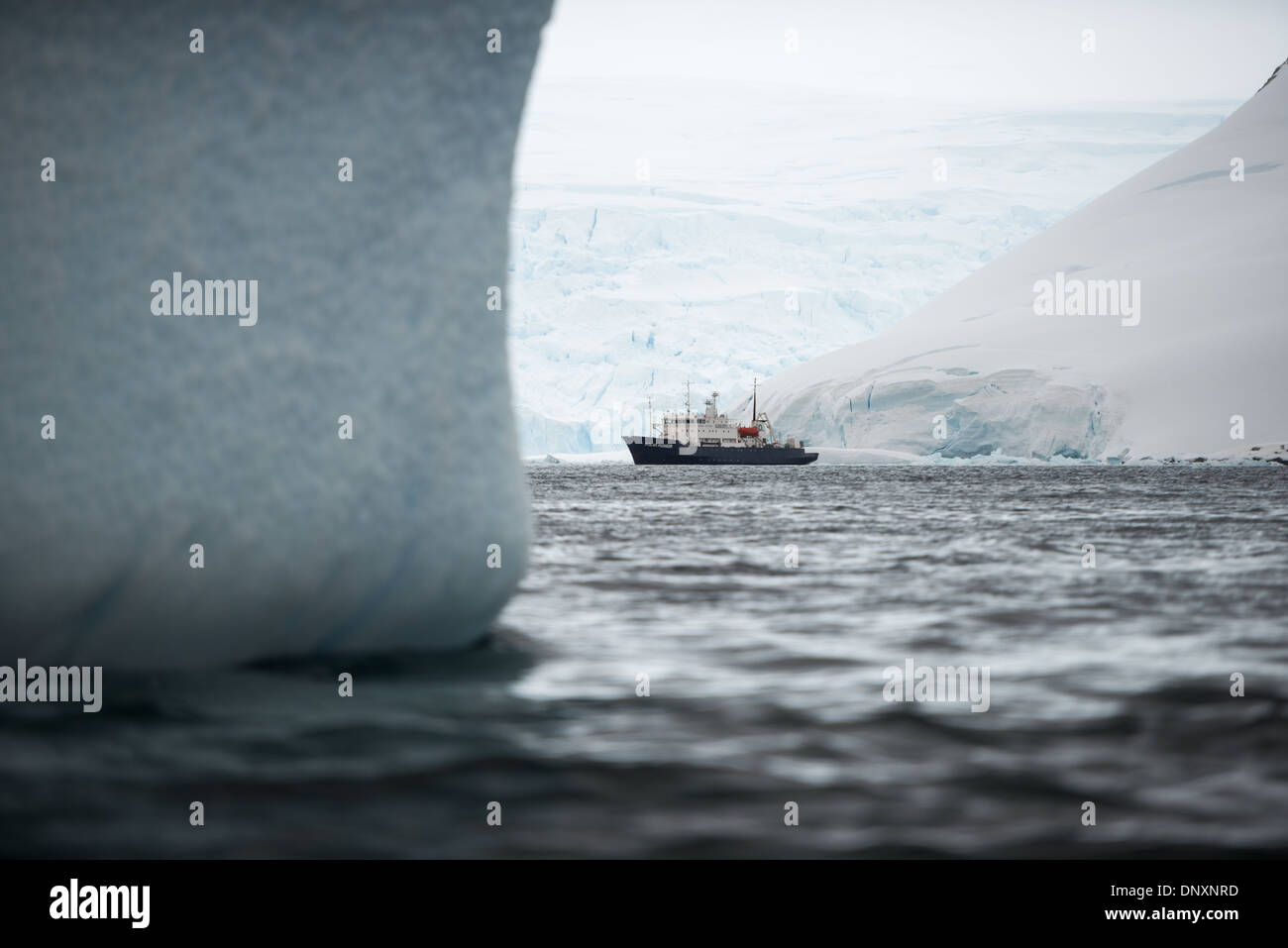 L'ANTARCTIQUE - Le Polar Pioneer, le fleuron des navires de croisière antarctique de tournée australienne Aurora Expeditions, l'entreprise tourne au ralenti près de rive à Curtis Bay dans l'Antarctique. Banque D'Images