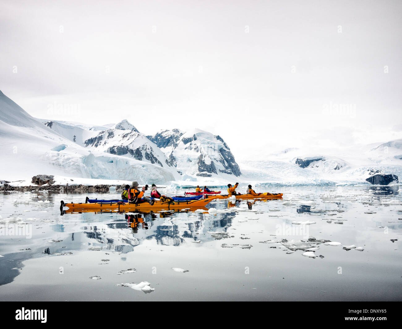 Kayak Brash Ice Cuverville Island Antarctica Peninsula // CUVERVILLE ISLAND, Antarctique — Un groupe de kayakistes navigue dans des eaux vitreuses parsemées de glace Brash sur l'île de Cuverville sur la péninsule Antarctique. Les conditions calmes et les fragments de glace éparpillés offrent une expérience de pagayage unique, permettant aux visiteurs d'explorer intimement l'environnement côtier vierge de l'Antarctique. L'île Cuverville, située dans le chenal Errera, est connue pour sa grande colonie de manchots Gentoo et ses paysages spectaculaires avec ses falaises abruptes et ses glaciers. Le site est une destination populaire pour les croisières d'expédition opérant i Banque D'Images