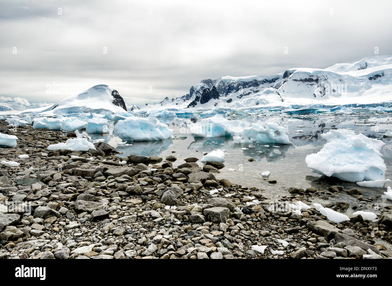 L'ANTARCTIQUE - Le rivage rocailleux de Cuverville Island sur le côté ouest de la péninsule antarctique. Banque D'Images