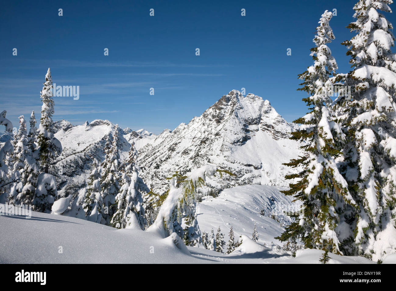 WASHINGTON - Corteo pic dans les North Cascades après une tempête de neige au début de l'hiver du Maple passer dans la forêt nationale d'Okanogan. Banque D'Images