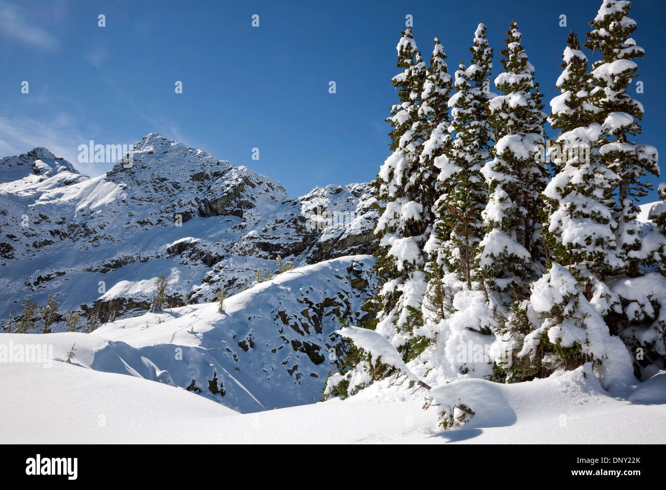 WASHINGTON - Les côtés de Frisco Mountain de la piste du col d'érable dans le Nord cascades, forêt nationale d'Okanogan. Banque D'Images