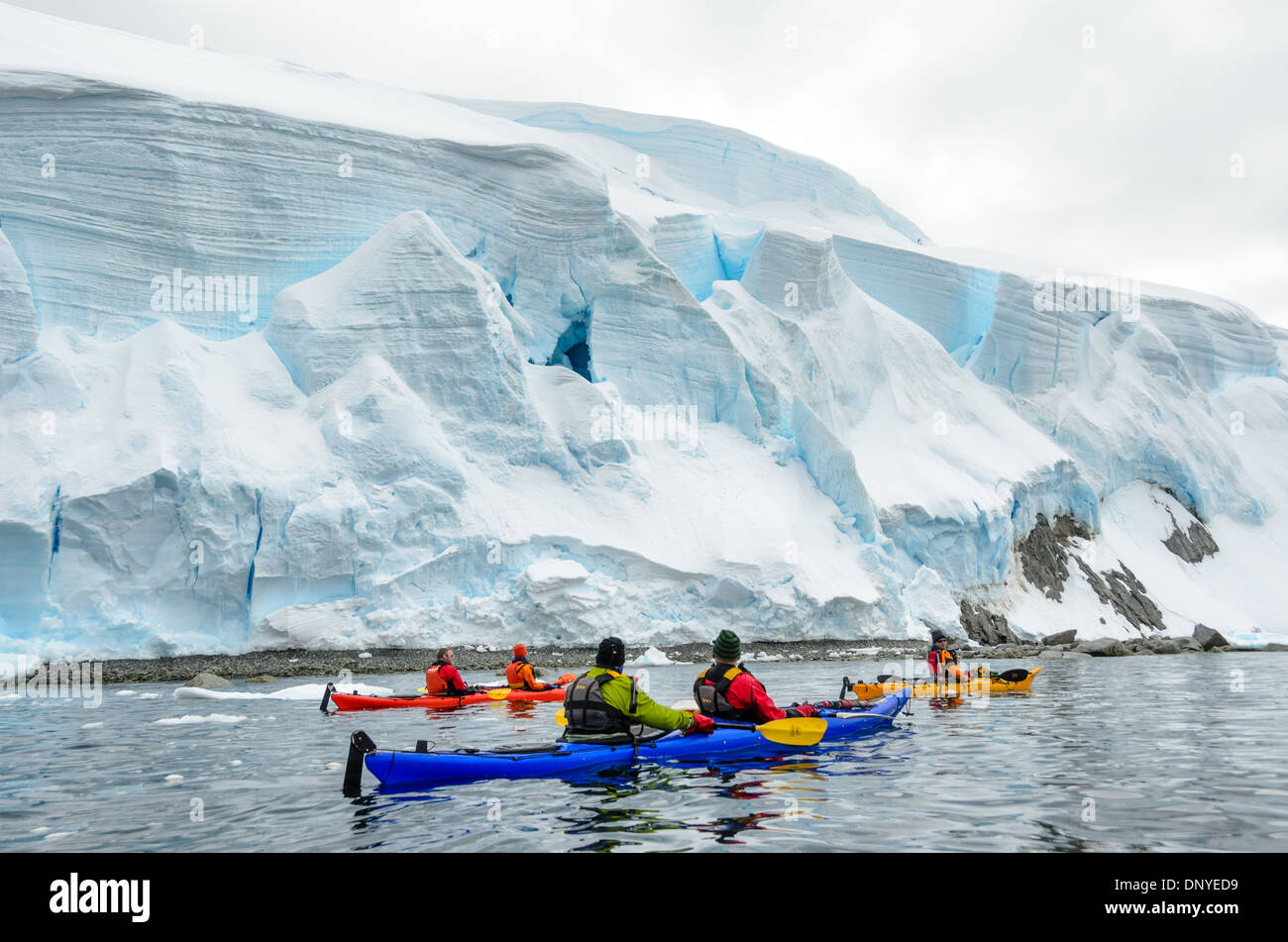Kayakistes falaises de glace glaciale Melchior Island Antarctique Peninsula // kayakistes pagayent devant d'énormes falaises de glace glaciaire glissant lentement dans la mer le long du front de mer à Melchior Island sur la côte ouest de la péninsule Antarctique. Banque D'Images