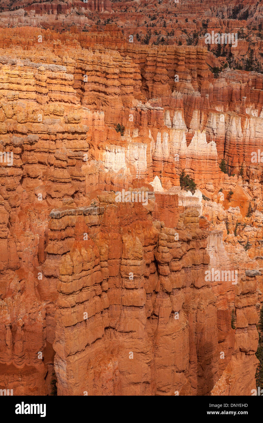 Paysage rocheux avec cheminées-close-up,Bryce Canyon, Utah, USA Banque D'Images