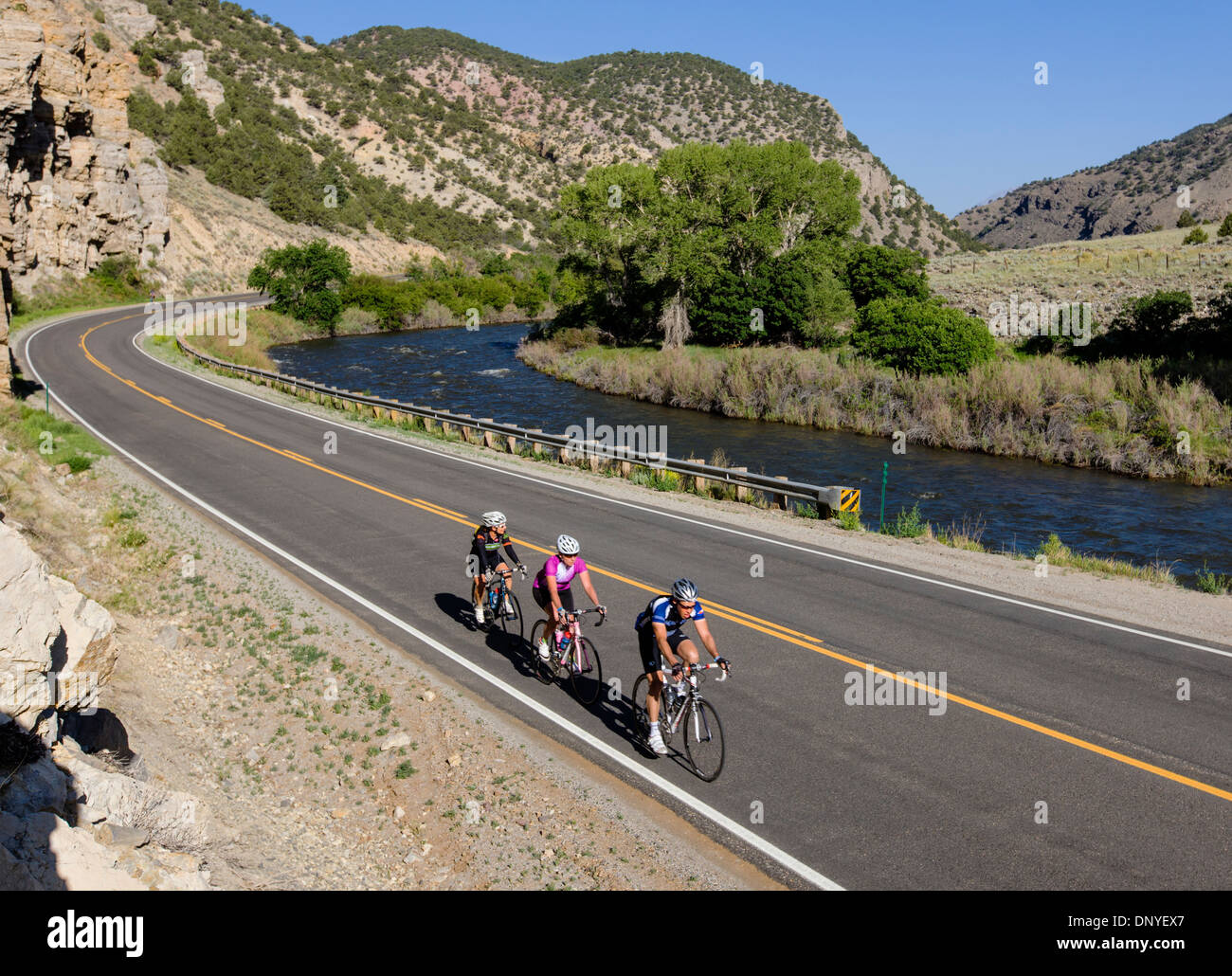 Les cyclistes Ride The Rockies annuel en vélo, l'autoroute 50, de l'Arkansas River, au sud de Salida, Colorado, USA Banque D'Images