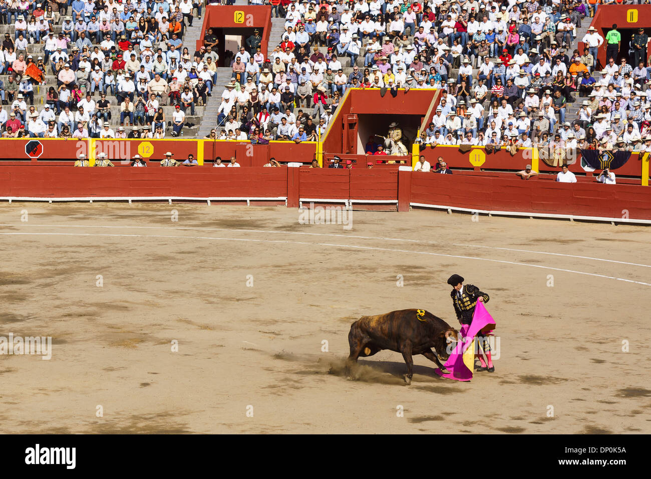 Feria Señor de los Milagros à la Plaza de Acho à Lima au Pérou . 6 taureaux de San Sebastian de las Palmas Hacienda. Banque D'Images